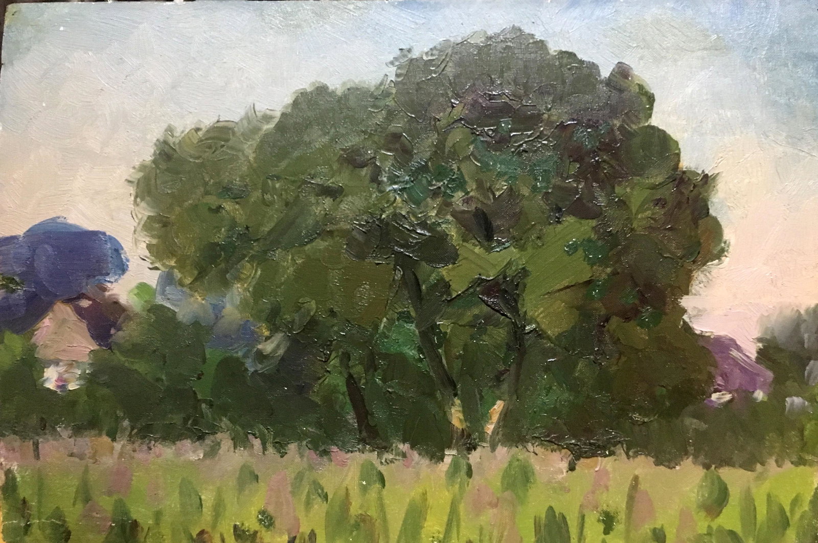 Oil painting birch tree Vladimir Ivanenko: * TITLE: "Birch tree" * ARTISTS: Vladimir Ivanenko * SIZE: 24x15 cm/'9,44Ñ…5,91 inches' * MEDIUM: oil, cardboard * HAND PAINTED: Original painting from our collection * CERTIFICATE OF AUTHENTICITY 