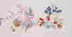 item-137271357=2