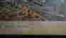 item-115098546=5
