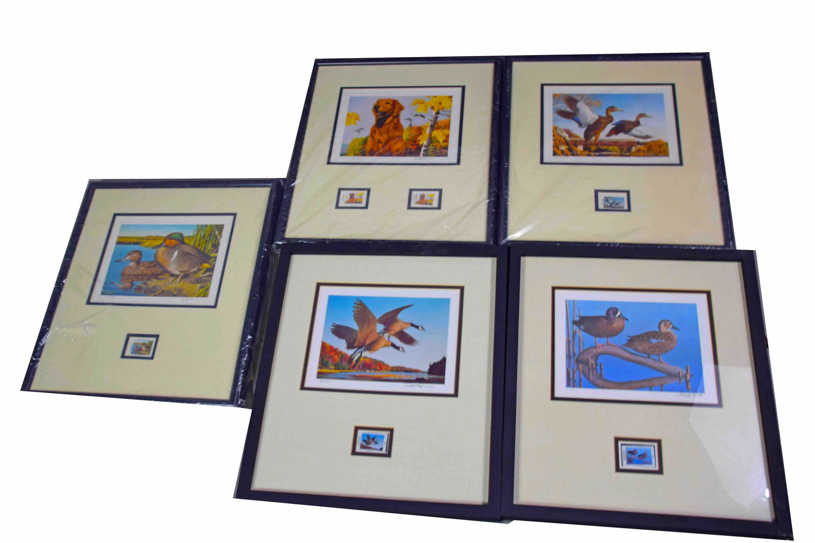 New Hampshire Duck Stamp Collection (1 of 7)