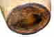 item-131051953=6
