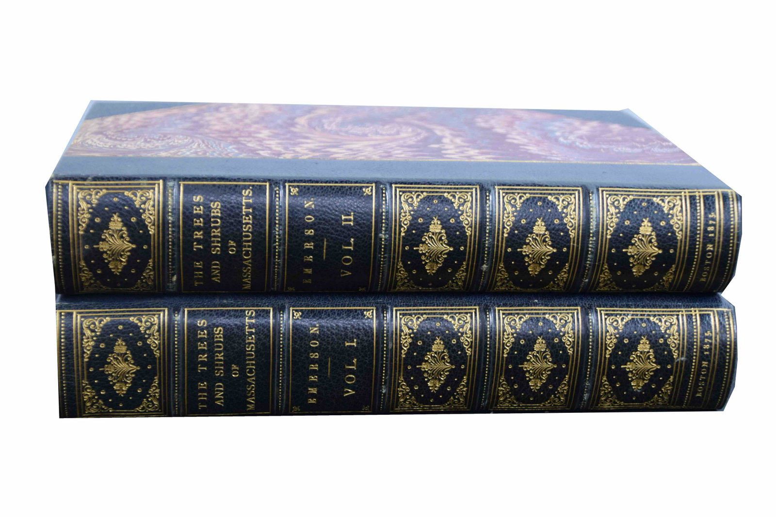 The Report on the Trees and Shrubs Growing Naturally in Massachusetts: The Report on the Trees and Shrubs Growing Naturally in Massachusetts in two three-Quarter leather bindings over marble boards with Chromolithograph plates. By George Emerson. Boston: Little Brown, 18