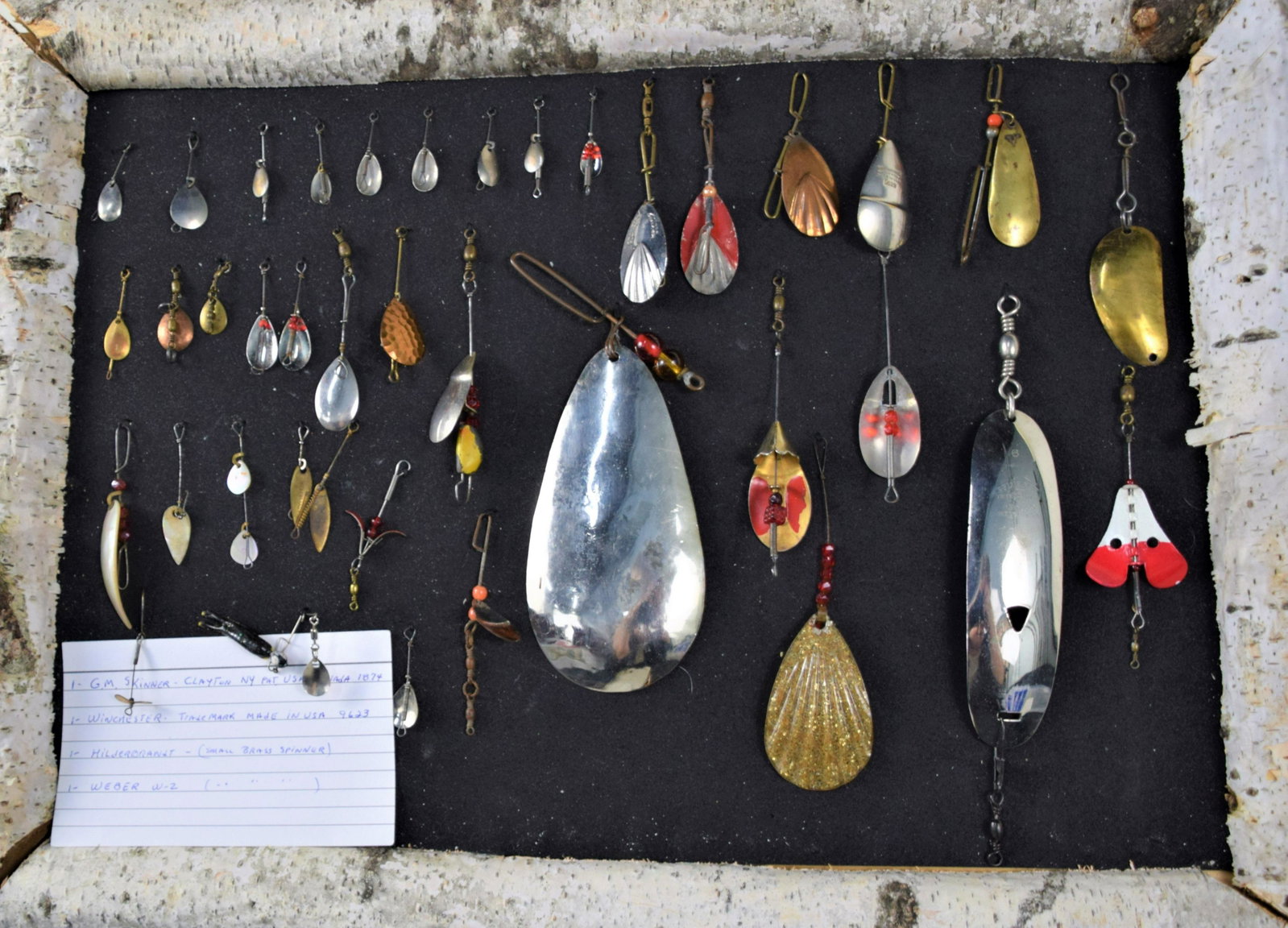 Large Birch tree Display of Early Lures: Over 30 early metal lures in a homemade birch tree display. Lures include an early G.M. Skinner of Clayton NY, Winchester, Hildebrandt, and Weber.