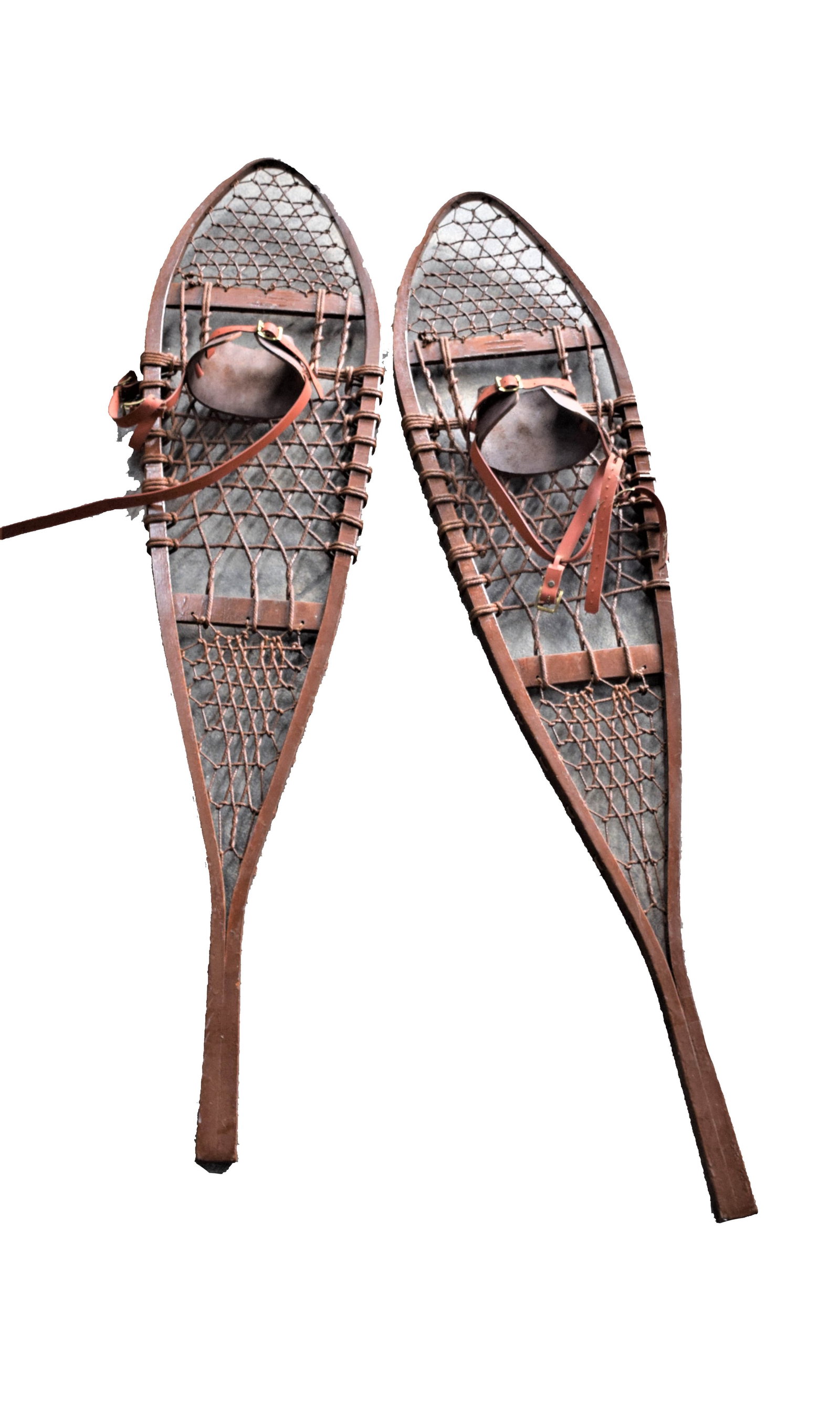 Snowshoes: Pair of snow shoes. Dimensions: 51" Length