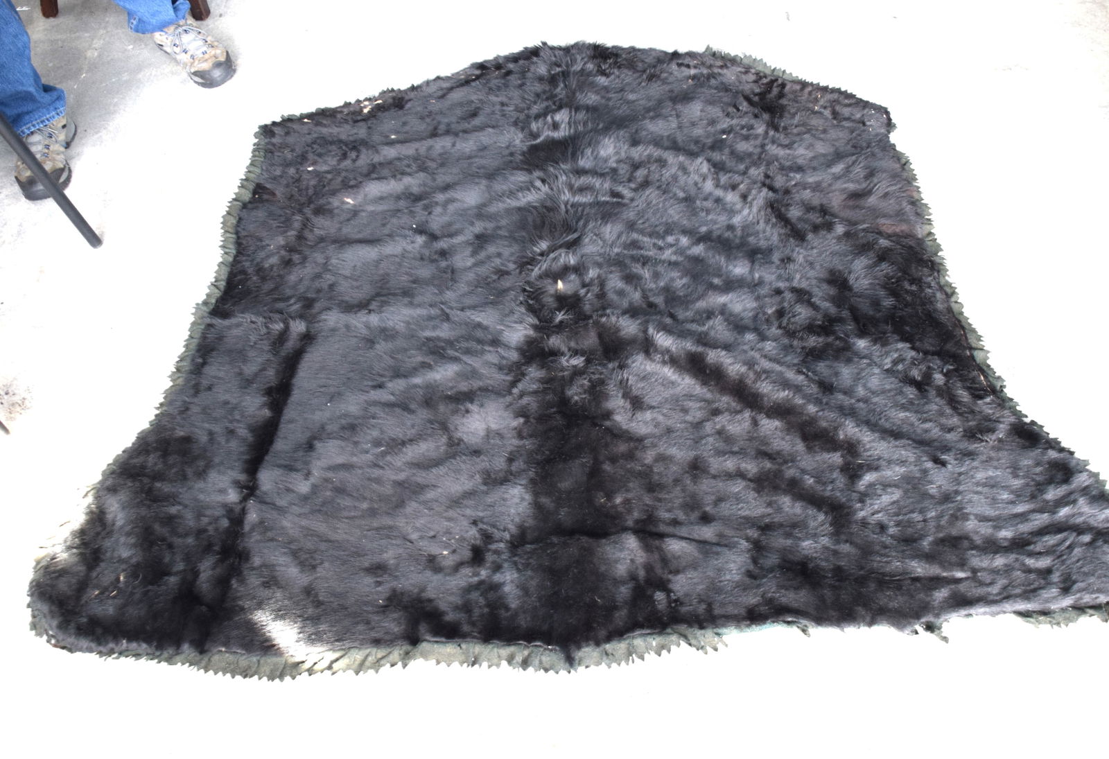 Black Bear Rug (1 of 3)
