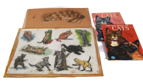 Portfolio of Cat Drawings and Studies of Cats