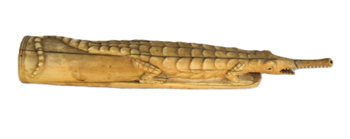 Alligator Scrimshaw