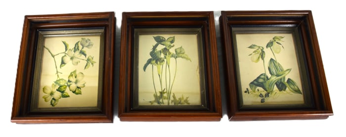 Three Framed Flower Prints