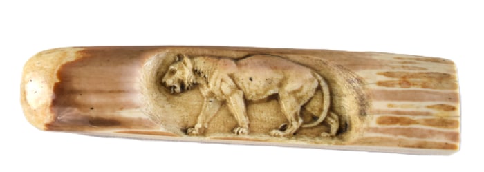 Petrified Wood With Saber Tooth Tiger