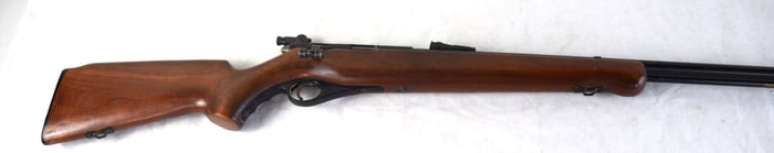 Mossberg & Sons 22LR