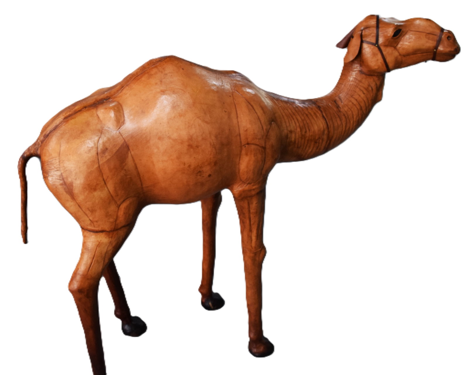Large leather Camel - 2