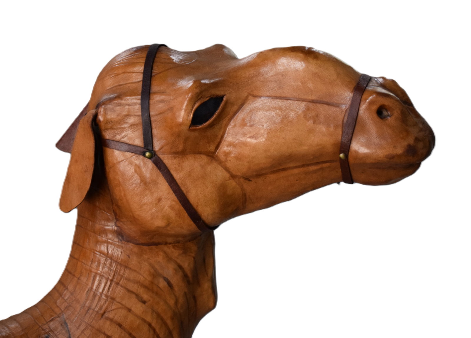 Large leather Camel - 3