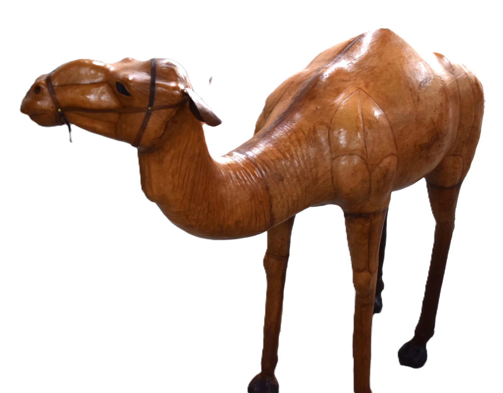 Large leather Camel - 4
