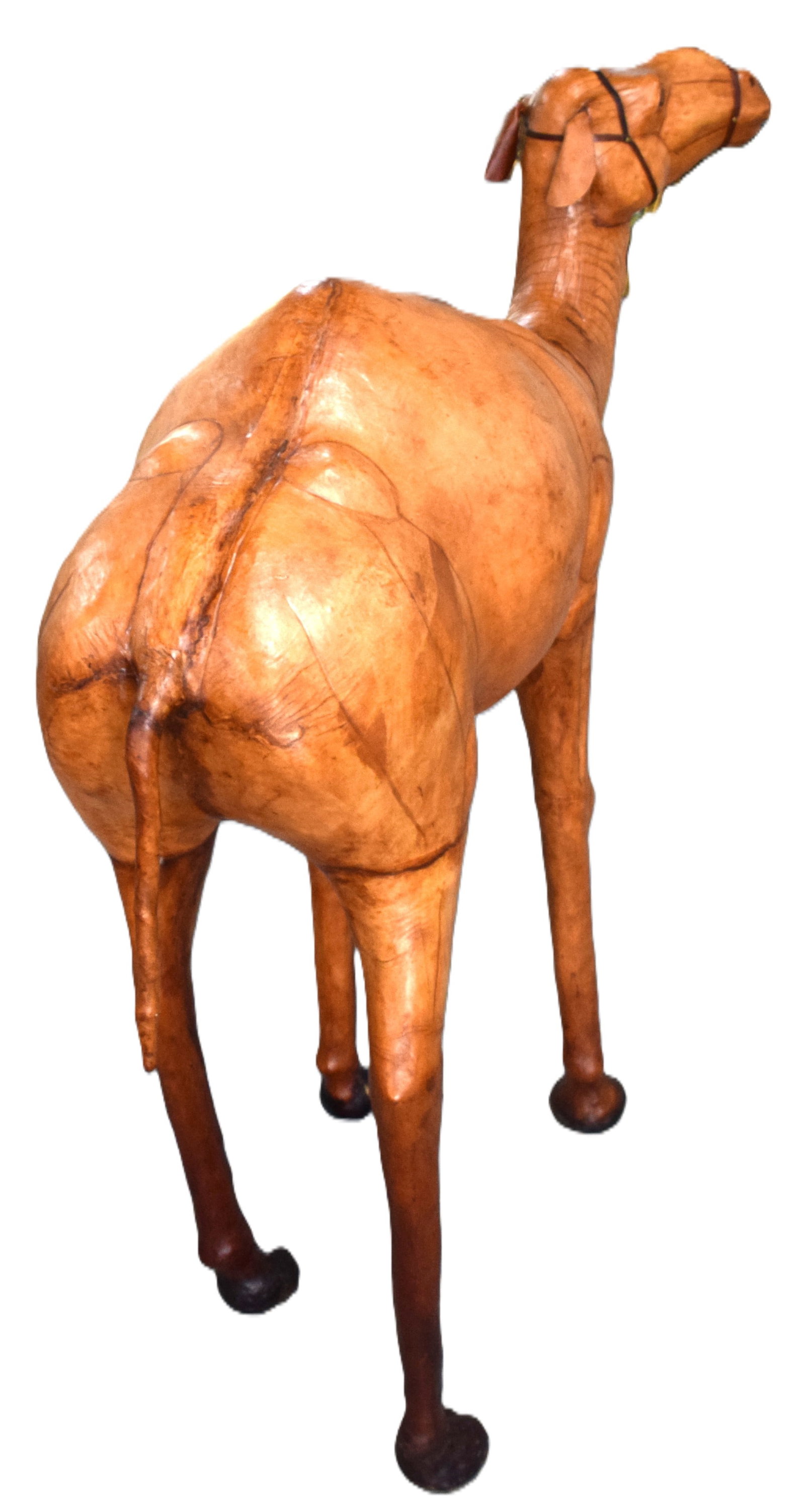 Large leather Camel - 5