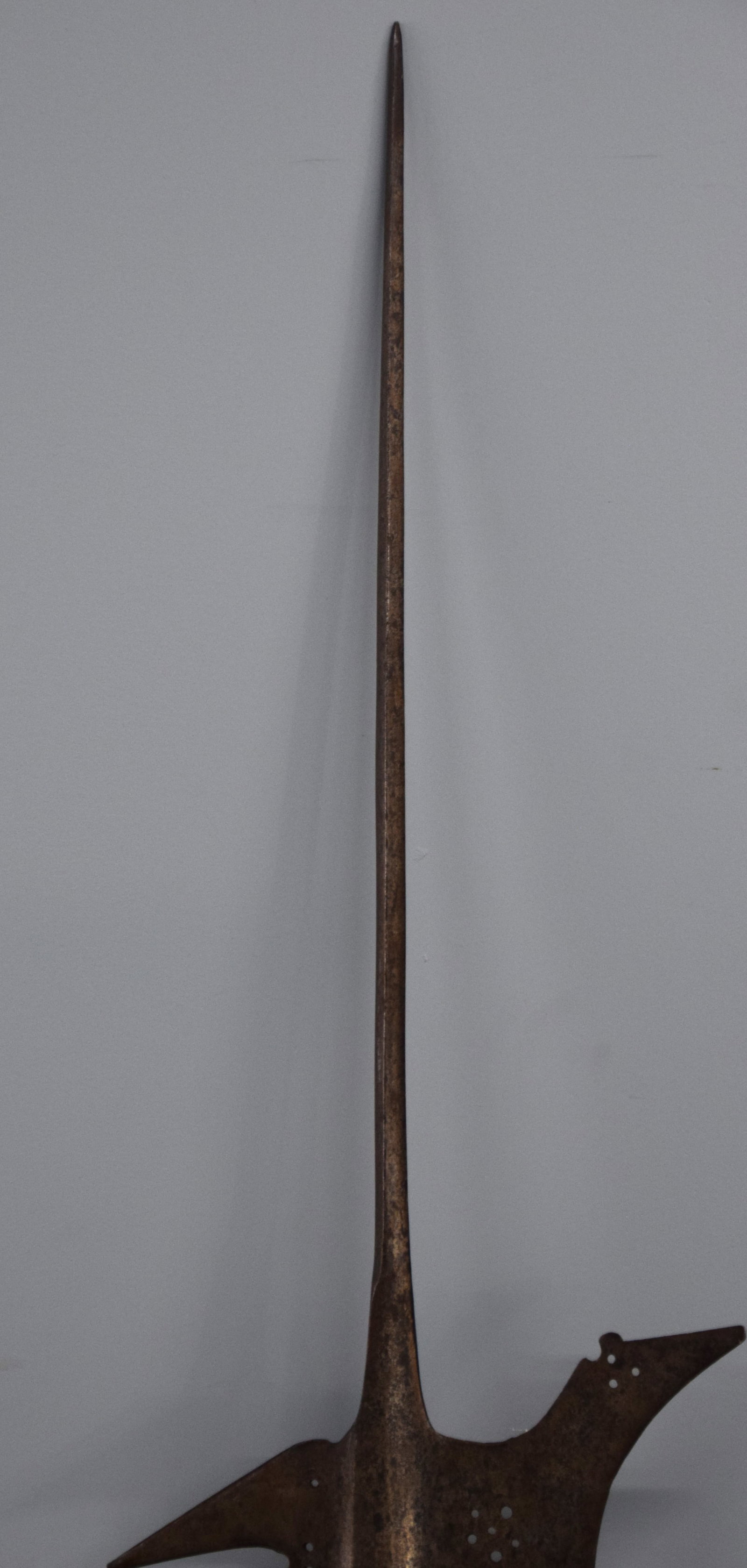 16th Century Thrusting Swiss Halberd - 4