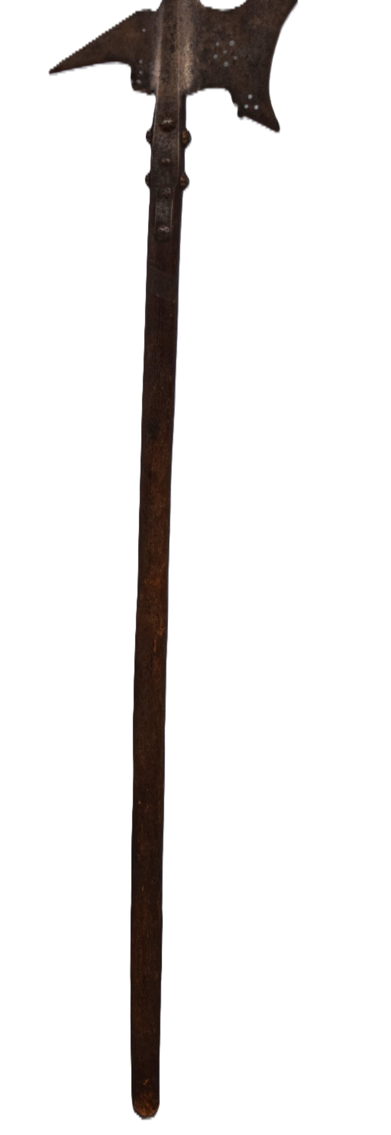 16th Century Thrusting Swiss Halberd - 5