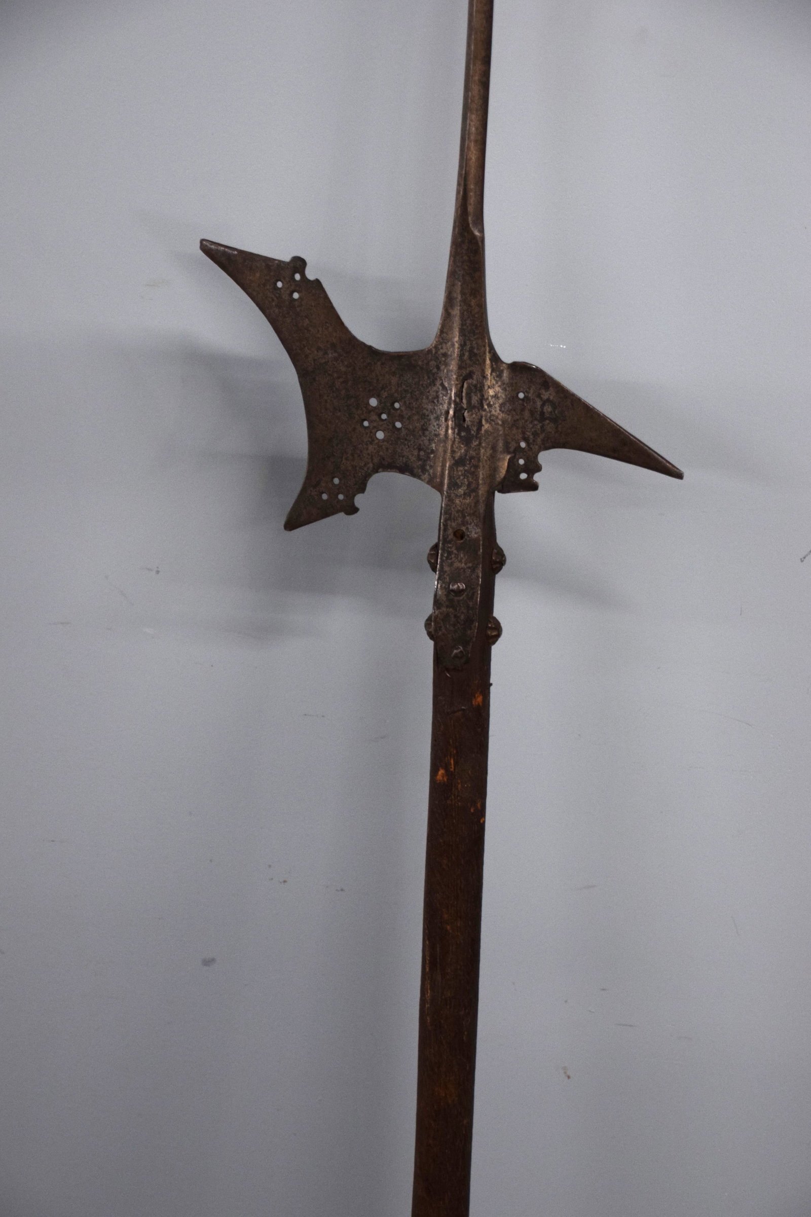 16th Century Thrusting Swiss Halberd - 6