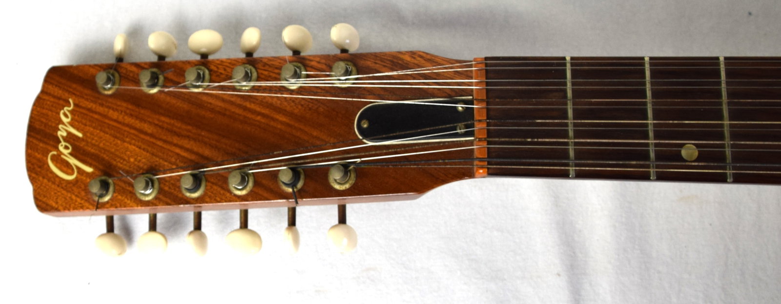 12 String Goya Guitar - 2