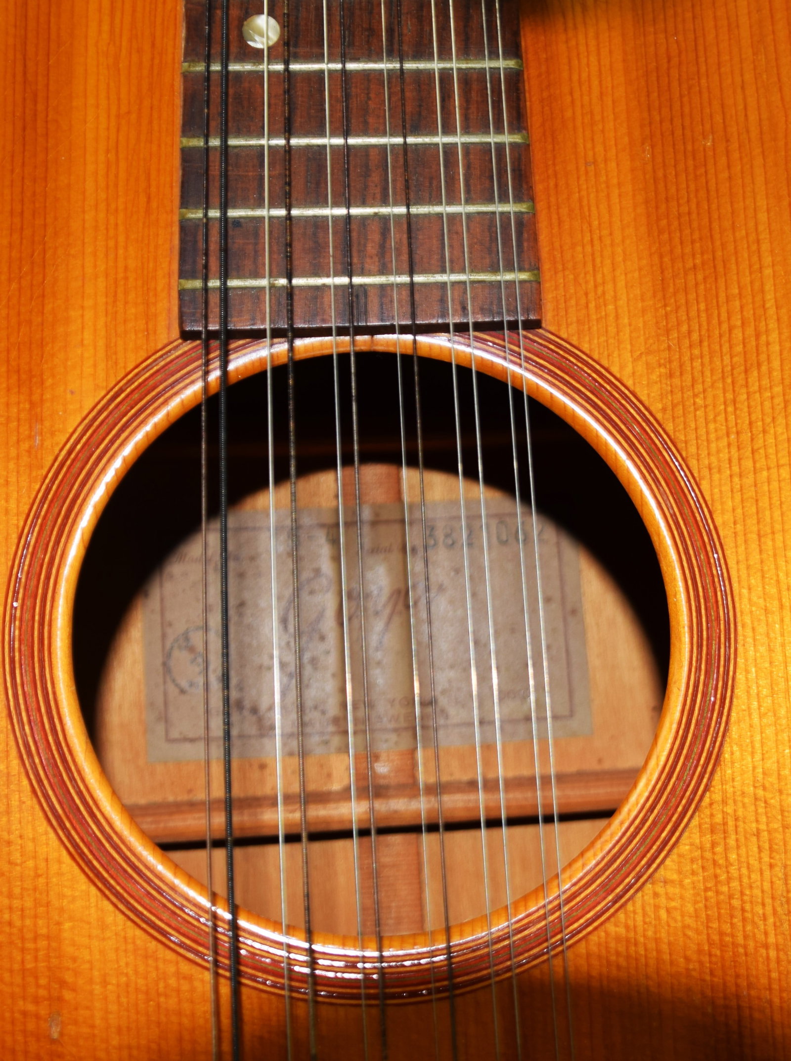 12 String Goya Guitar - 5