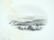 397: LANDSCAPE SCENERY ILLUSTRATING SYDNEY & PORT JACKS - 2