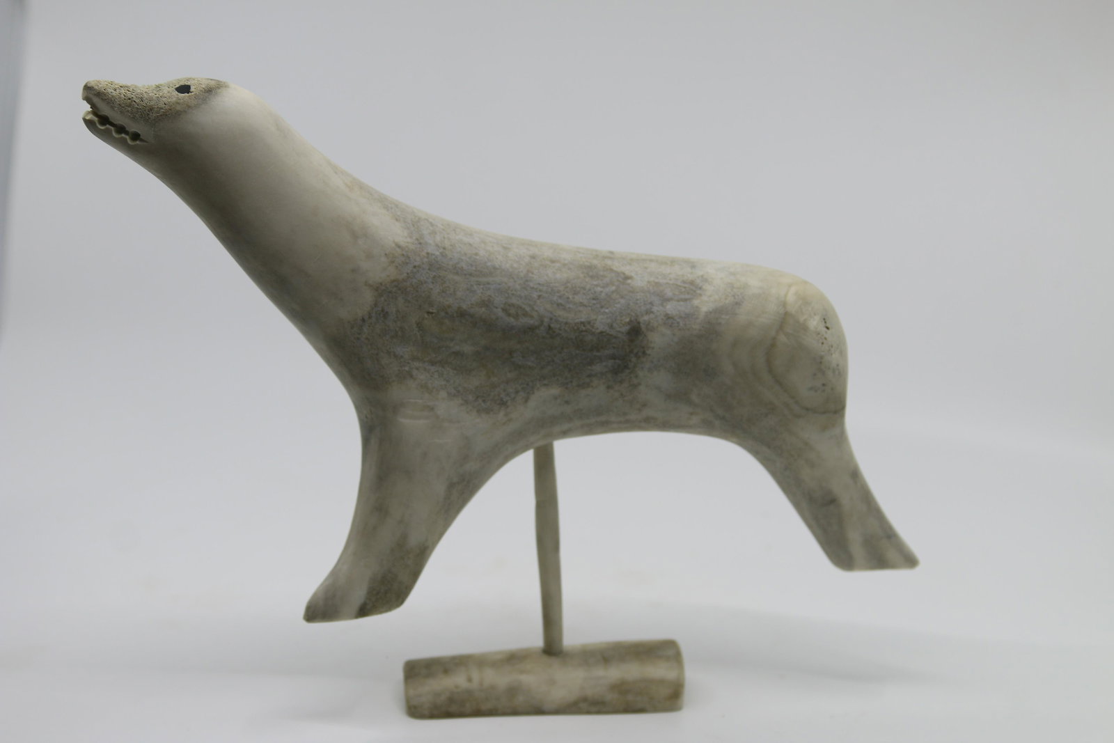 Inuit Bone Sculpture, Seal (C.1960): Artist: Inuit School (XX) Title: Inuit Bone Sculpture, Seal (C.1960) Description (FR): Sculpture en os, non signee Description (ENG): Bone sculpture, unsigned Dimension (PO): 8" x 2" x 11" Dimension (