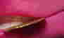 item-120918815=4