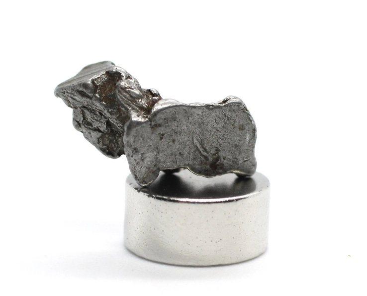 Campo del Cielo certifed meteorite asteroid iron nickel: Campo del Cielo is an iron meteorite that fell about 4,600 years ago in a meteor shower near Campo del Cielo, in the province of Chaco, Argentina. Weight: 1.3 grams or 0.04 oz. Size: 7.5 x 6.1 x 14.7 