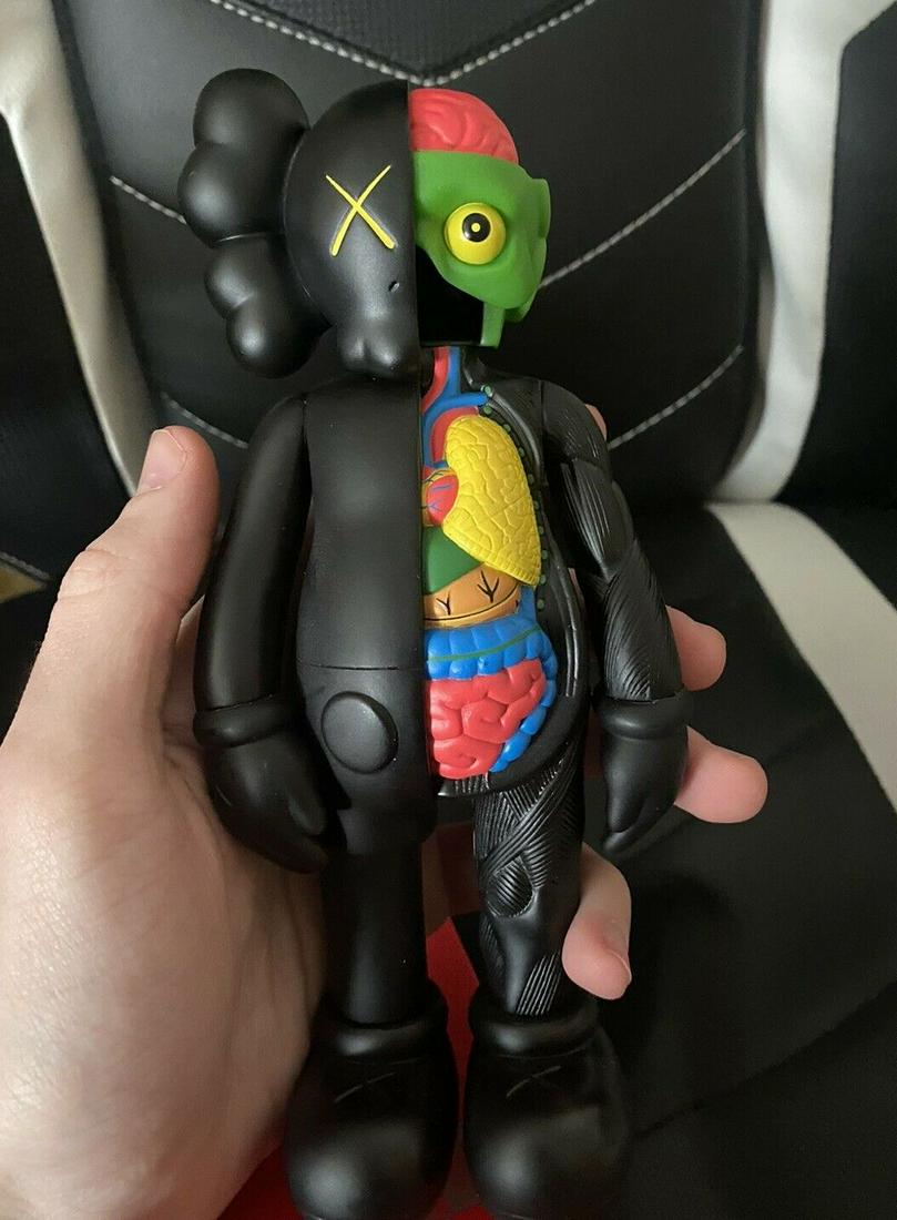 Kaws dissected figurine black companion toy vinyl (1 of 4)