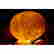 item-129475684=3