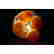 item-129475684=4