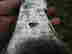 item-129562023=3