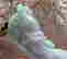 item-129562144=4