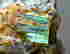 item-129562636=3