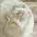 item-129562700=2