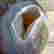 item-129562702=3