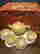 item-129562744=5