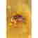 item-131489823=6