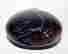 item-131530299=6
