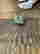 item-131530353=2