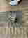 item-131530353=4