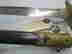 item-131530387=5