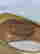 item-131530599=5