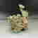 item-131530971=2