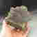 item-131530973=5