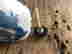 item-131531290=4
