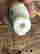 item-131531290=5