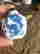 item-131531290=6