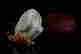 item-131531357=4