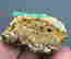 item-131531845=5