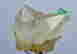 item-131531849=4